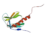 Beta Adrenergic Receptor Kinase (BARK)