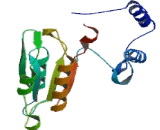 Alanine Aminotransferase (ALT)