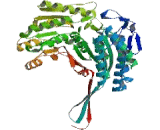 Aldehyde Dehydrogenase, Mitochondrial (ALDH2)