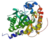 Aldolase B, Fructose Bisphosphate (ALDOB)