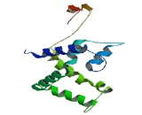 Aldosterone Synthase (ALDOS)