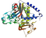 Alkaline Phosphatase, Tissue-nonspecific (ALPL)