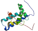 Ionized Calcium-binding Adapter Molecule 1 (IBA1)