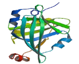 Alpha-1-Acid Glycoprotein (a1AGP)