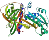 Alpha-1-Antitrypsin (a1AT)