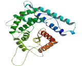 Alpha-1-Macroglobulin (a1M)