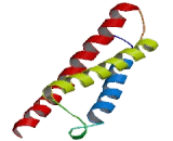 Alpha-Hemoglobin Stabilizing Protein (aHSP)