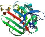 Angiopoietin 2 (ANGPT2)