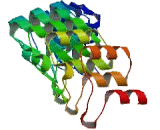 Ankyrin Repeat Domain Protein 24 (ANKRD24)