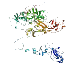 Anoctamin 6 (ANO6)