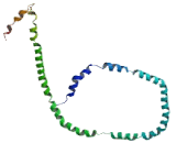 Apolipoprotein A1 (APOA1)