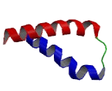 Arginine Vasopressin Receptor 2 (AVPR2)