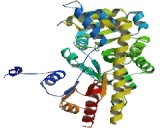 Aspartate Aminotransferase (AST)