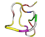 Atrial Natriuretic Peptide (ANP)