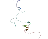 B-Cell CLL/Lymphoma 7A (Bcl7A)