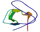 BAI1 Associated Protein 2 Like Protein 1 (BAIAP2L1)