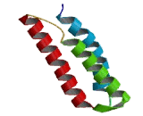 Bcl2 Associated Athanogene 3 (BAG3)