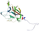 BTB/POZ Domain Containing Protein 18 (BTBD18)