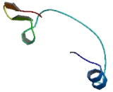 Basic Helix Loop Helix Domain Containing Protein B3 (BHLHB3)