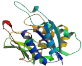 Beta-1,3-Glucuronyltransferase 1 (b3GAT1)