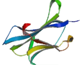 Beta-2-Microglobulin (b2M)