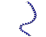 Bone Marrow Stromal Cell Antigen 2 (BST2)