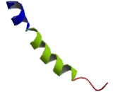 Bradykinin Receptor B2 (BDKRB2)