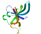 Bromo Adjacent Homology Domain Containing Protein 2 (BAHD2)