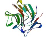 Butyrophilin Subfamily 1, Member A1 (BTN1A1)