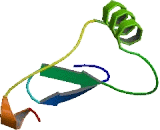C-Type Lectin Domain Family 17, Member A (CLEC17A)