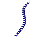 CCAAT/Enhancer Binding Protein Beta (CEBPb)