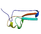 CDGSH Iron Sulfur Domain Protein 1 (CISD1)