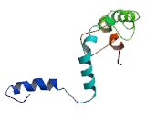 Calcium Channel, Voltage Dependent, L-Type, Alpha 1D Subunit (CACNa1D)