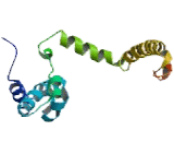 Calcium Channel, Voltage Dependent, N-Type, Alpha 1B Subunit (CACNa1B)