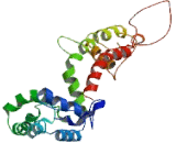 Calcium Channel, Voltage Dependent, P/Q-Type, Alpha 1A Subunit (CACNa1A)