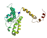 Calcium Channel, Voltage Dependent, T-Type, Alpha 1G Subunit (CACNa1G)