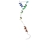 Calcium Channel, Voltage Dependent, T-Type, Alpha 1I Subunit (CACNa1I)