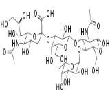 Carbohydrate Antigen 19-9 (CA19-9)