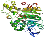 Carboxylesterase 1 (CES1)