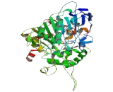 Carboxylesterase 5A (CES5A)