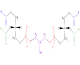 Cardiolipin (CL)