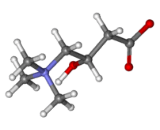 Carnitine (CNT)