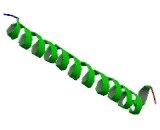 Cartilage Oligomeric Matrix Protein (COMP)