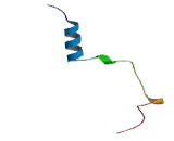 Cbp/p300 Interacting Transactivator, With Glu/Asp Rich Carboxy Terminal Domain 1 (CITED1)