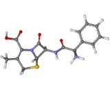 Cefalexin (CEL)