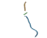 Centromere Protein J (CENPJ)