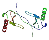 Chemokine C-C-Motif Ligand 4 Like Protein 1 (CCL4L1)