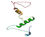 Chemokine C-C-Motif Receptor 2 (CCR2)