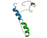 Chemokine C-C-Motif Receptor 6 (CCR6)