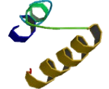 Chemokine C-C-Motif Receptor 8 (CCR8)